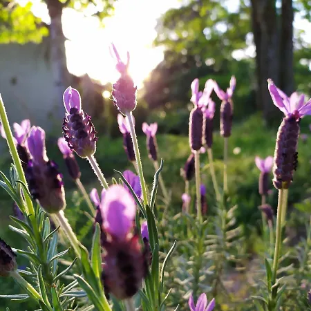 La Des Beaux Chenes *