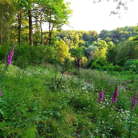 La Des Beaux Chenes * Evrunes