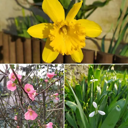 La Cabane Des Beaux Chenes