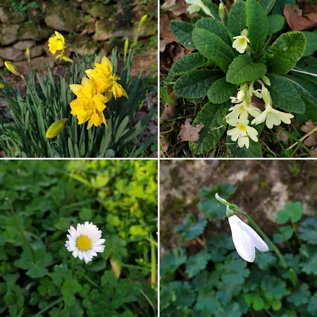 Holiday home La Cabane Des Beaux Chenes *