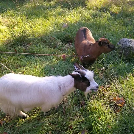 Ferienhaus La Des Beaux Chenes