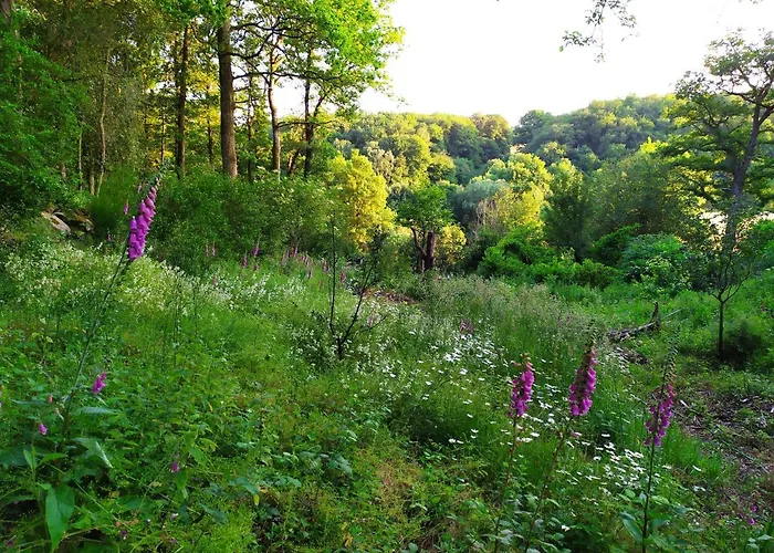 La Des Beaux Chenes * Evrunes