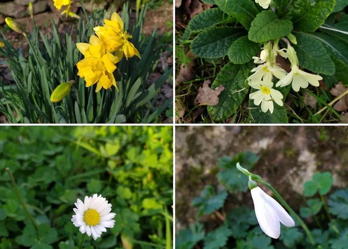 別荘 La Des Beaux Chenes *