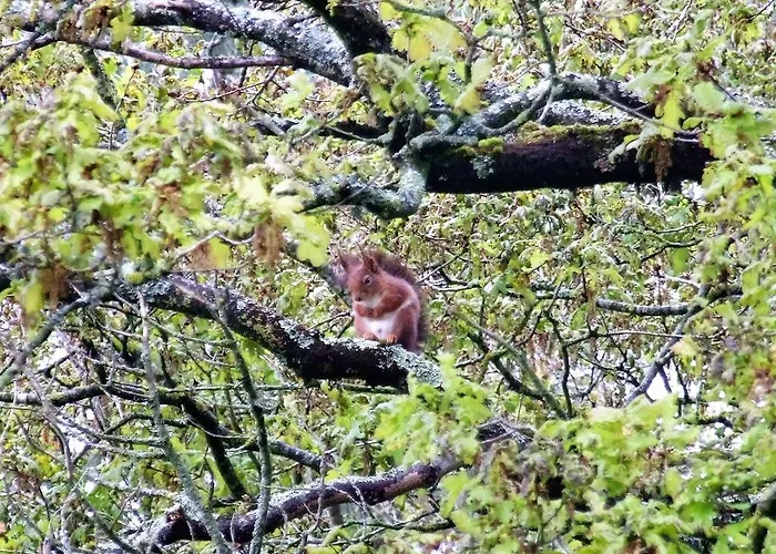 La Des Beaux Chenes *