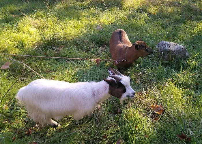 別荘 La Des Beaux Chenes